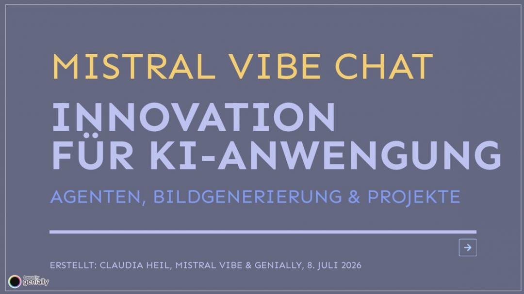 Claudia Heil 2026 7 8 Mistral Vibe Chat Agenten Bilder Projekte