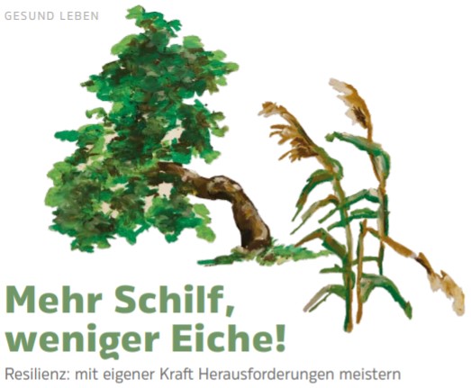 StatdtZeit108 klaus schaake Eiche und Schilf