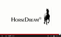 HorseDream video2