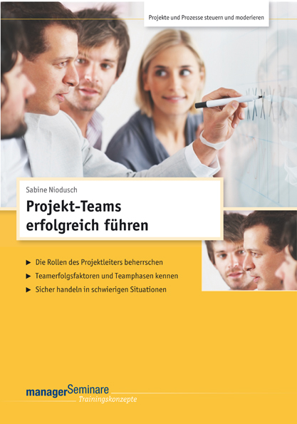 sabine niodusch-cover-projektteams-erfolgreich-fuehren 2013