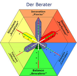 Beraterprofil